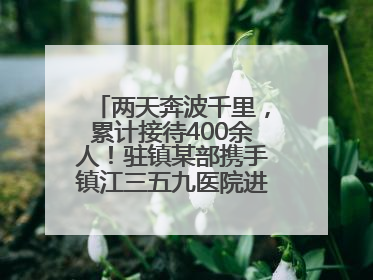 两天奔波千里，累计接待400余人！驻镇某部携手镇江三五九医院进村开展健康帮扶