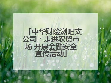 中华财险浏阳支公司：走进农贸市场 开展金融安全宣传活动