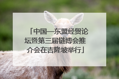 中国—东盟经贸论坛暨第三届链博会推介会在吉隆坡举行