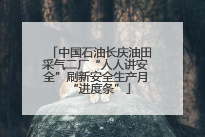 中国石油长庆油田采气二厂“人人讲安全”刷新安全生产月“进度条”