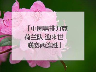 中国男排力克荷兰队 迎来世联赛两连胜