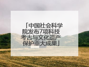 中国社会科学院发布7项科技考古与文化遗产保护重大成果