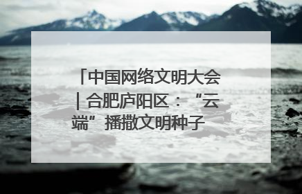 中国网络文明大会｜合肥庐阳区：“云端”播撒文明种子 共建清朗网络空间