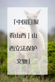 中国日报看山西｜山西立法保护文物