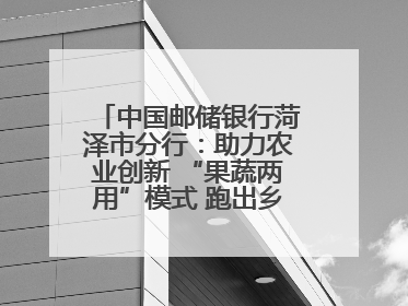 中国邮储银行菏泽市分行：助力农业创新 “果蔬两用”模式 跑出乡村振兴加速度