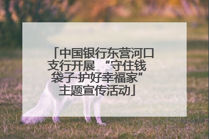 中国银行东营河口支行开展 “守住钱袋子·护好幸福家”主题宣传活动