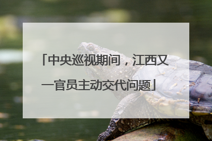 中央巡视期间，江西又一官员主动交代问题