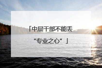 中层干部不能丢“专业之心”