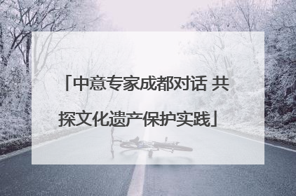 中意专家成都对话 共探文化遗产保护实践