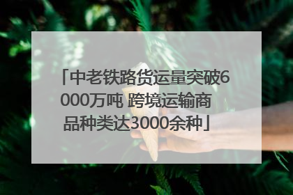 中老铁路货运量突破6000万吨 跨境运输商品种类达3000余种