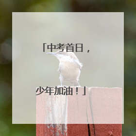 中考首日，少年加油！