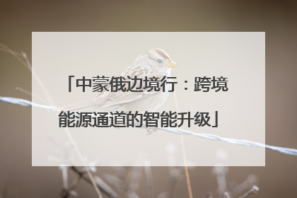 中蒙俄边境行：跨境能源通道的智能升级