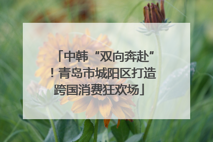 中韩“双向奔赴”！青岛市城阳区打造跨国消费狂欢场