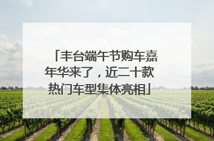丰台端午节购车嘉年华来了，近二十款热门车型集体亮相