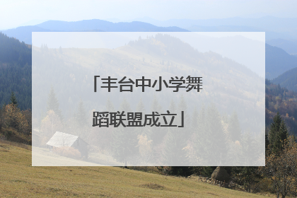 丰台中小学舞蹈联盟成立