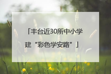 丰台近30所中小学建“彩色学安路”