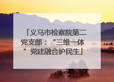 义马市检察院第二党支部：“三维一体”党建融合护民生