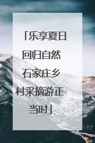 乐享夏日 回归自然 石家庄乡村采摘游正当时