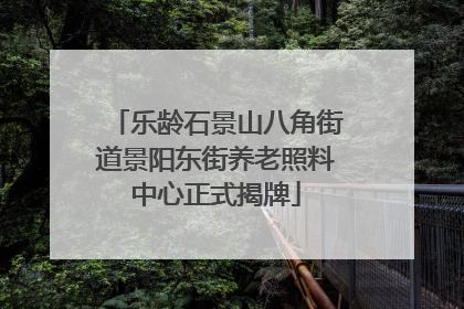 乐龄石景山八角街道景阳东街养老照料中心正式揭牌