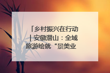 乡村振兴在行动｜安徽潜山：全域旅游绘就“景美业兴民富”新画卷