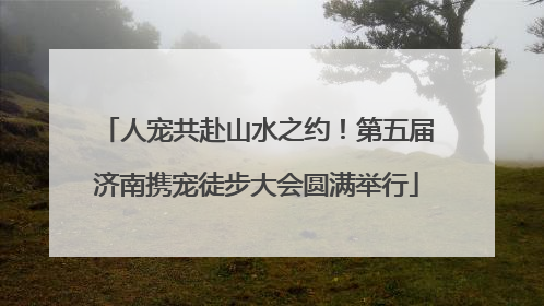 人宠共赴山水之约！第五届济南携宠徒步大会圆满举行