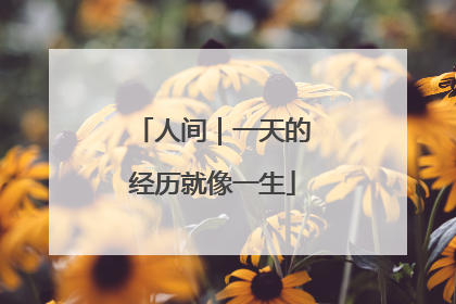 人间｜一天的经历就像一生