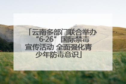 云南多部门联合举办“6·26”国际禁毒宣传活动 全面强化青少年防毒意识