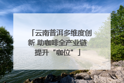 云南普洱多维度创新 助咖啡全产业链提升“咖位”