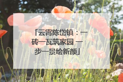 云霄陈岱镇：一砖一瓦筑家园 一步一景绘新颜