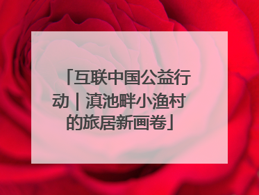 互联中国公益行动｜滇池畔小渔村的旅居新画卷