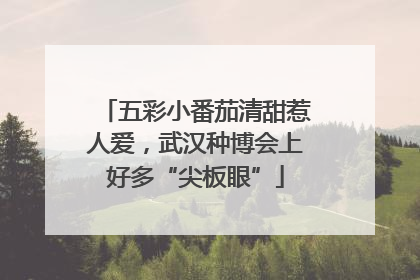五彩小番茄清甜惹人爱，武汉种博会上好多“尖板眼”