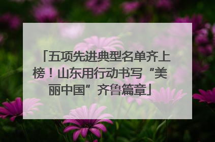 五项先进典型名单齐上榜！山东用行动书写“美丽中国”齐鲁篇章