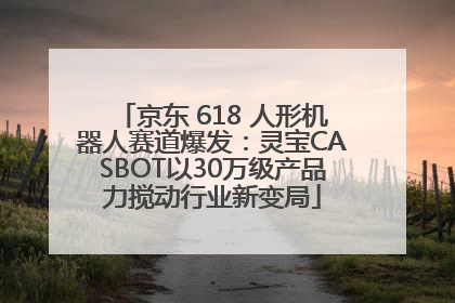 京东 618 人形机器人赛道爆发：灵宝CASBOT以30万级产品力搅动行业新变局