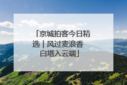 京城拍客今日精选｜风过麦浪香 白塔入云端