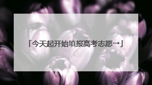 今天起开始填报高考志愿→