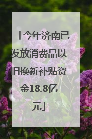 今年济南已发放消费品以旧换新补贴资金18.8亿元