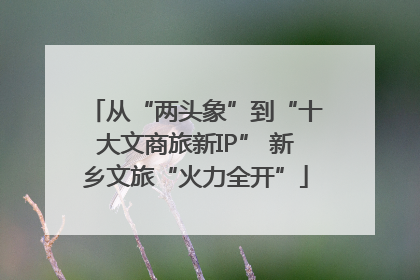 从“两头象”到“十大文商旅新IP” 新乡文旅“火力全开”