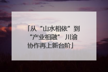从“山水相依”到“产业相融” 川渝协作再上新台阶