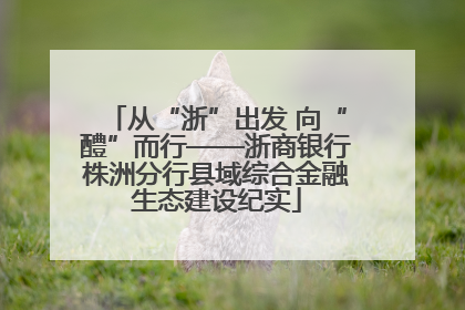 从“浙”出发 向“醴”而行——浙商银行株洲分行县域综合金融生态建设纪实