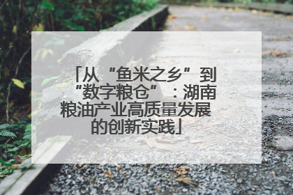 从“鱼米之乡”到“数字粮仓”：湖南粮油产业高质量发展的创新实践