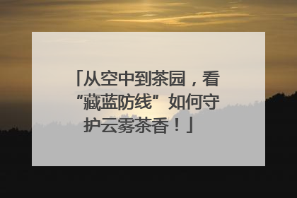 从空中到茶园，看“藏蓝防线”如何守护云雾茶香！