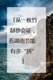 从一枚竹制参会证，看湖南节能有多“拼”