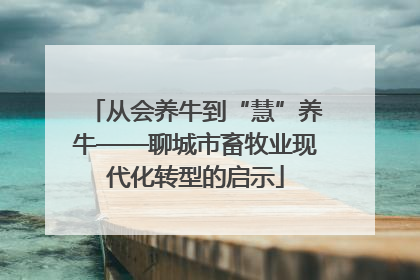 从会养牛到“慧”养牛——聊城市畜牧业现代化转型的启示
