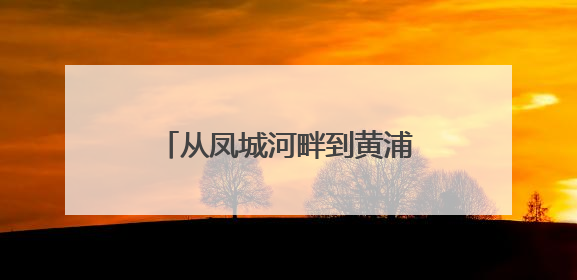 从凤城河畔到黄浦江边，“海”好有“陵”携手共赢