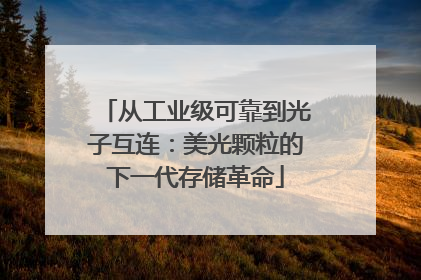 从工业级可靠到光子互连：美光颗粒的下一代存储革命