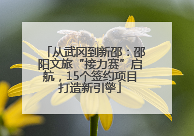 从武冈到新邵：邵阳文旅“接力赛”启航，15个签约项目打造新引擎