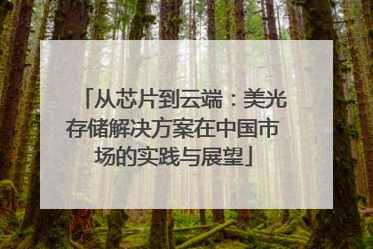 从芯片到云端：美光存储解决方案在中国市场的实践与展望
