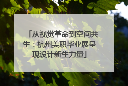 从视觉革命到空间共生：杭州美职毕业展呈现设计新生力量