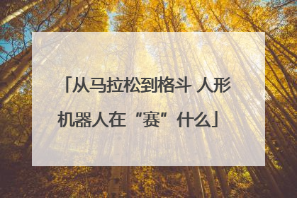 从马拉松到格斗 人形机器人在“赛”什么