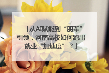 从AI赋能到“朋辈”引领，河南高校如何跑出就业“加速度”？